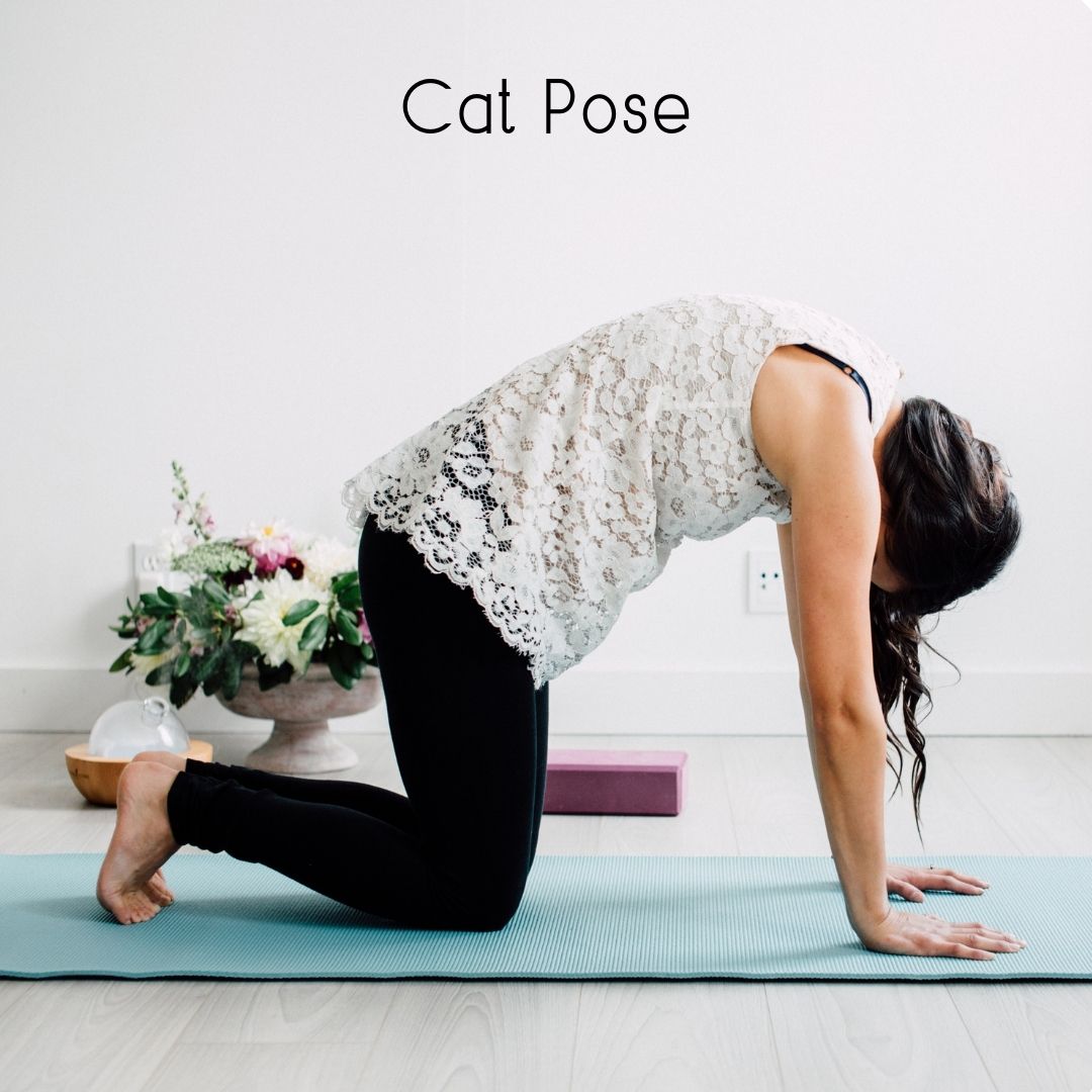 Cat pose