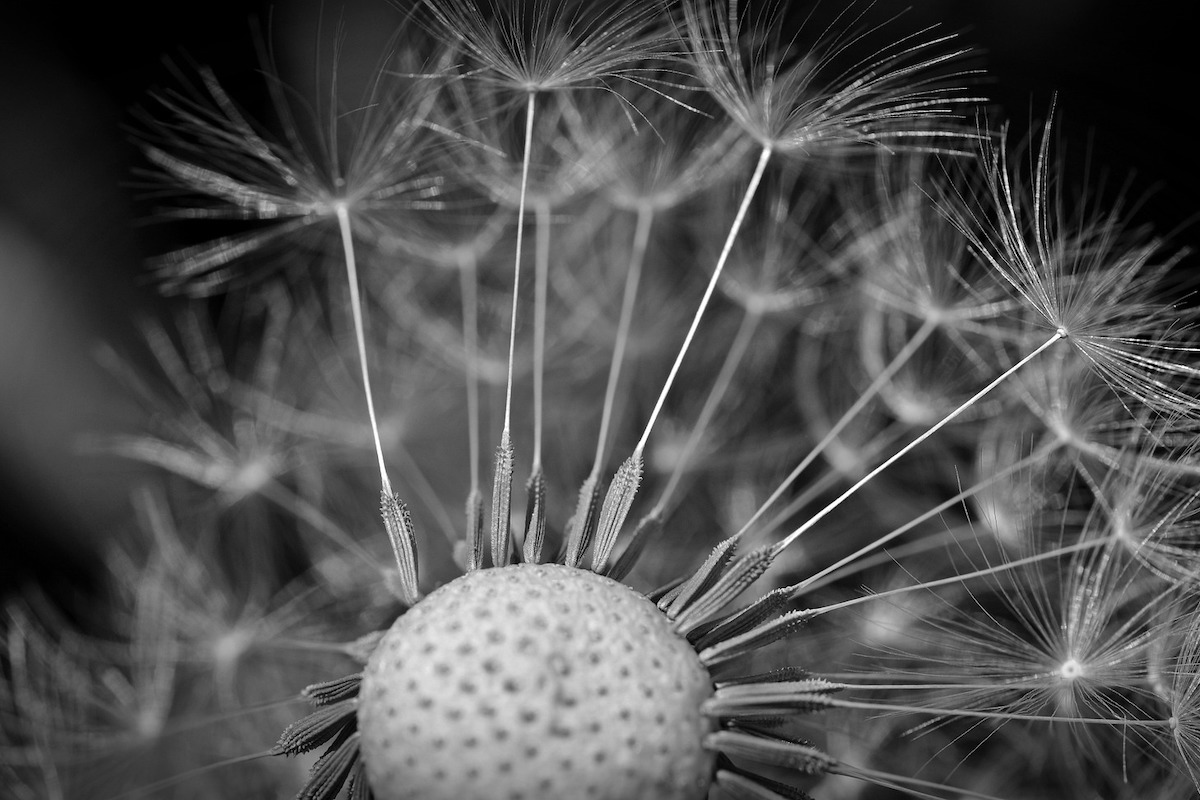 If at first you don’t succeed…