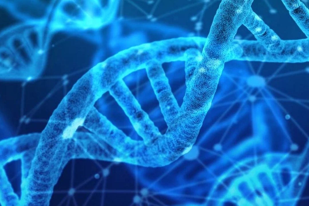 An overview of PGS/PGT-A testing